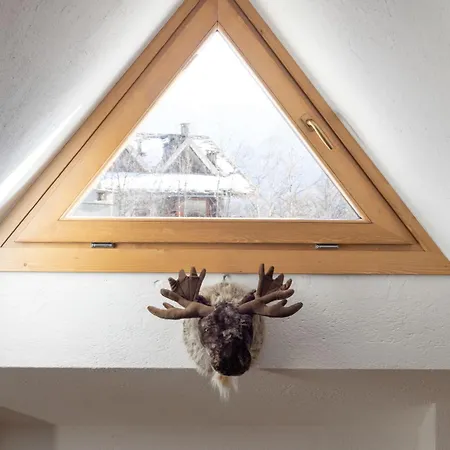 Il Triangolo Sul Bianco Degli Sportivi! *